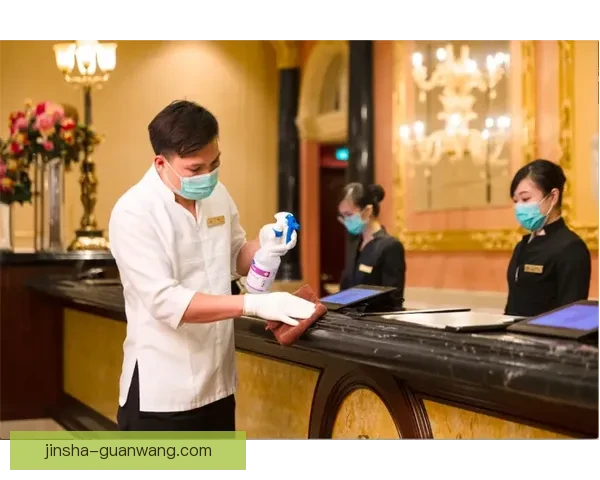 金沙安全入口最新攻略与安全防范技巧全面解析