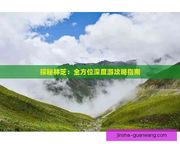 世界杯足球竞猜深度分析球队状态战术走势与赛果预测全方位指南